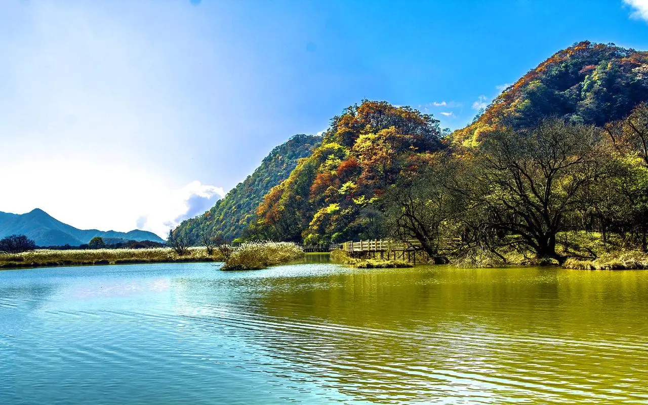 节能高性能智能